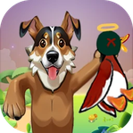 DuckHunter